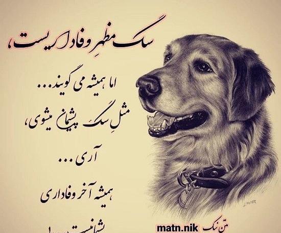 عکس نوشته وفاداری سگ