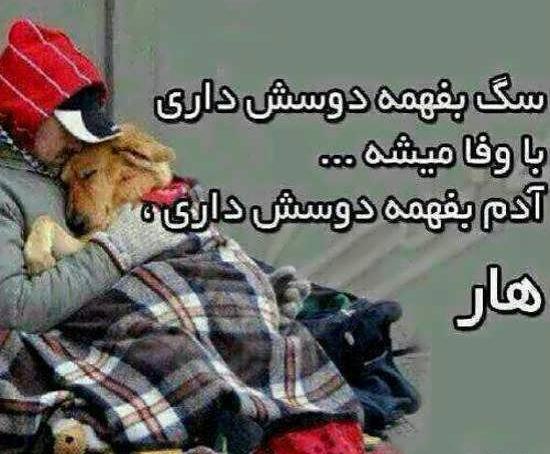عکس نوشته وفاداری سگ