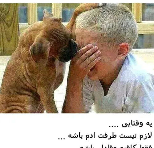 عکس نوشته وفاداری سگ