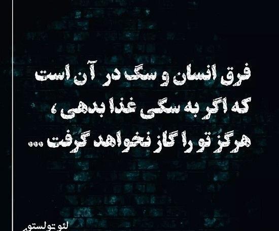 عکس نوشته وفاداری سگ