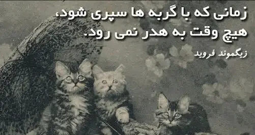 عکس نوشته وفاداری سگ