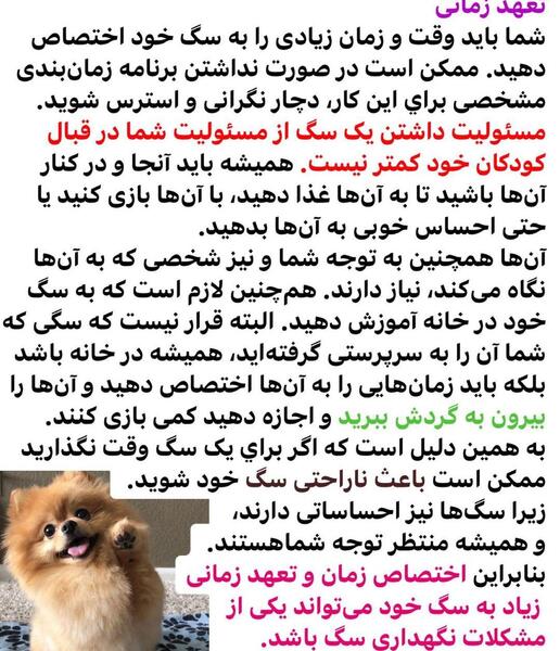 عکس نوشته وفاداری سگ