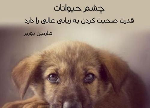 عکس نوشته وفاداری سگ