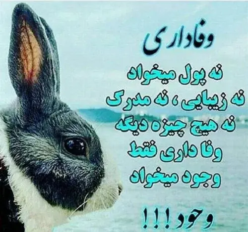 عکس نوشته وفاداری عشق