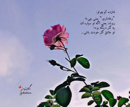 عکس نوشته وفاداری عشق