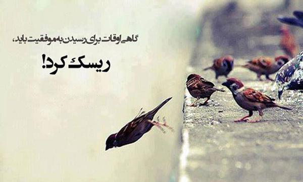 عکس نوشته های ورزشی