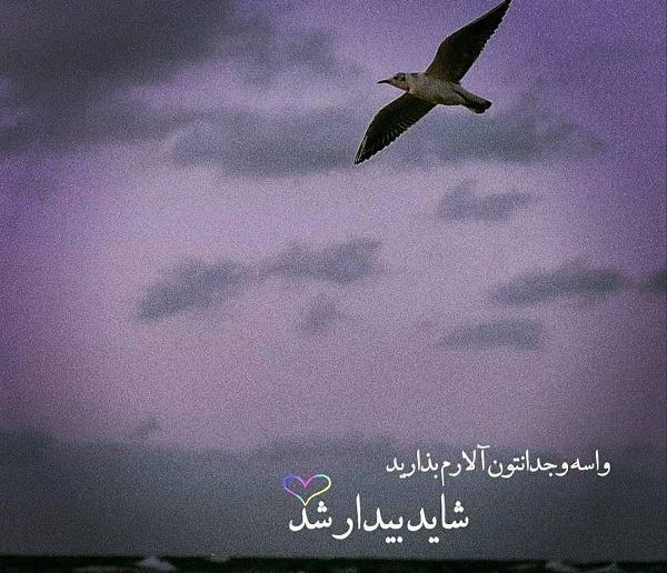 عکس نوشته وجدانم راحته