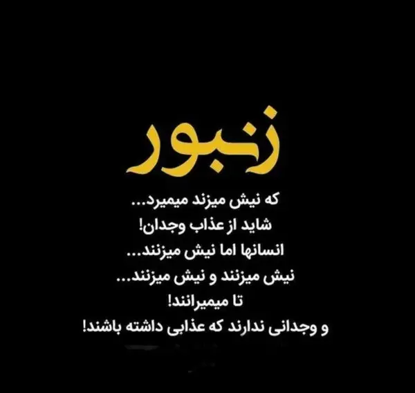 عکس نوشته وجدان بیدار