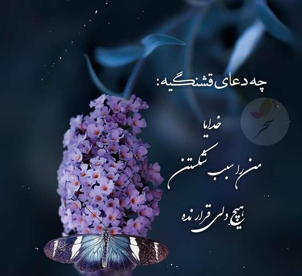 عکس نوشته زیبا ویسگون