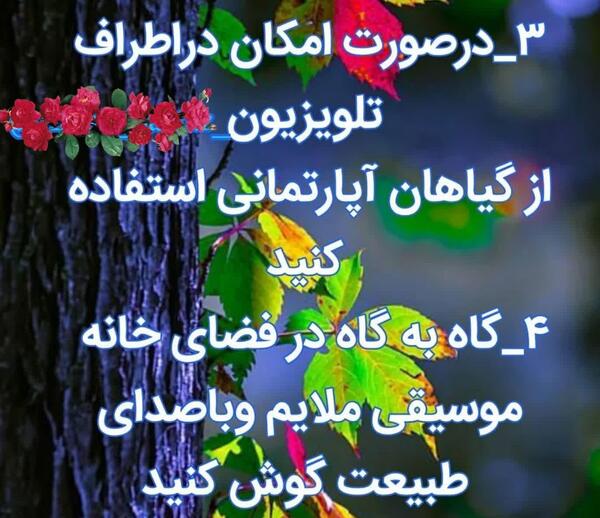 عکس نوشته به زندگیم وان یکاد آویزان میکنم