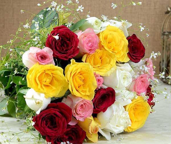 عکس نوشته های گل رز قرمز