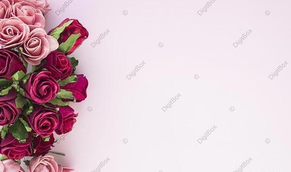 عکس نوشته های گل رز قرمز