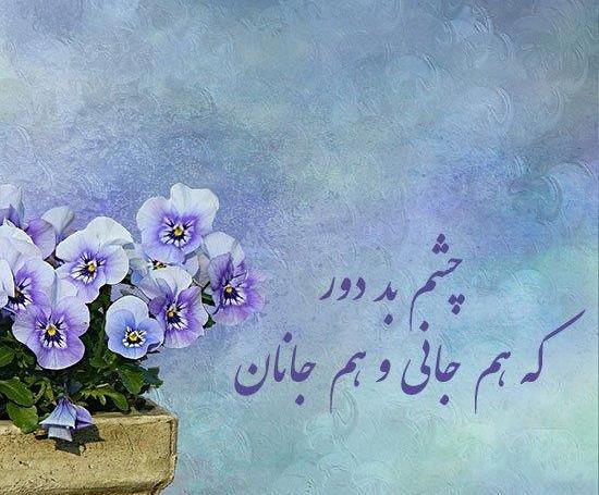 عکس نوشته روی گل رز