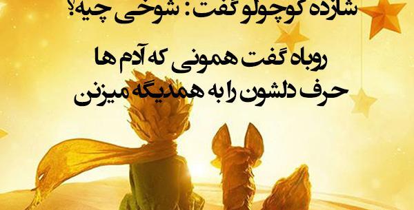 عکس نوشته های شازده کوچولو و روباه