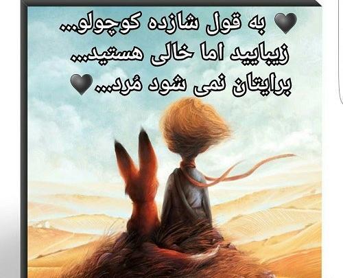 عکس نوشته های شازده کوچولو و روباه