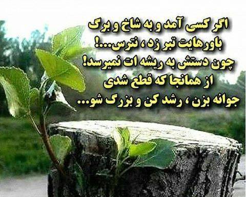 عکس نوشته زمین گرد و کارما کار بلد
