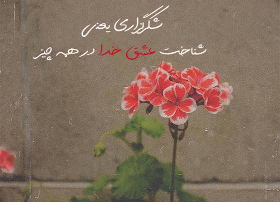 عکس نوشته شکرگزاری امروز