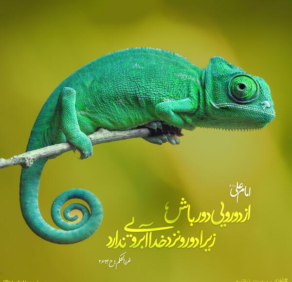 عکس نوشته درباره آدمهای دورو