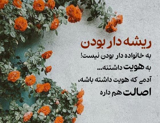 عکس نوشته در مورد آدم های نمک نشناس