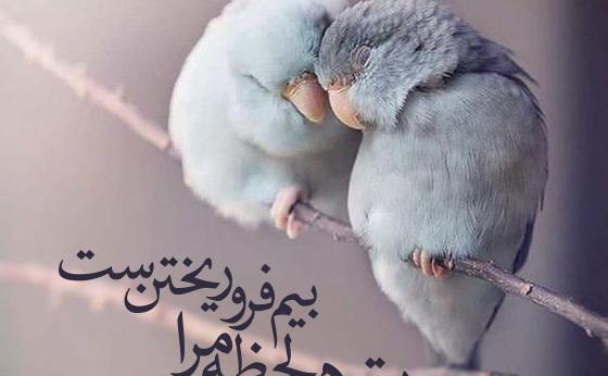 عکس دوست داشتنی