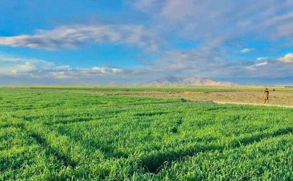 عکس های ولایت پروان افغانستان