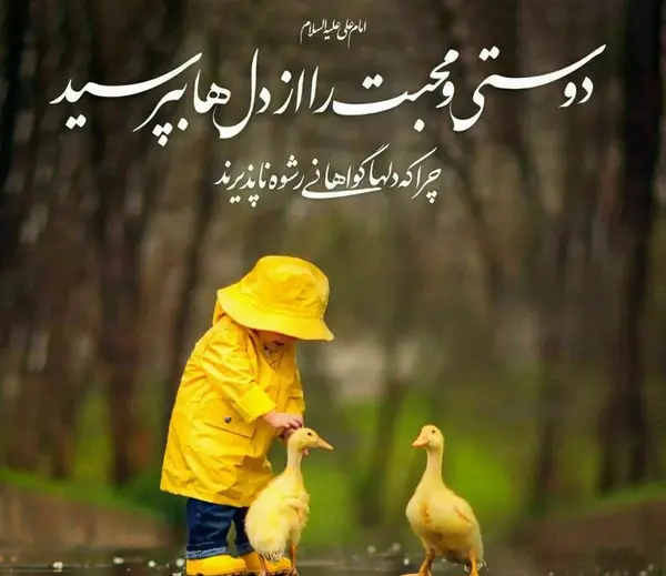 عکس از دوستی