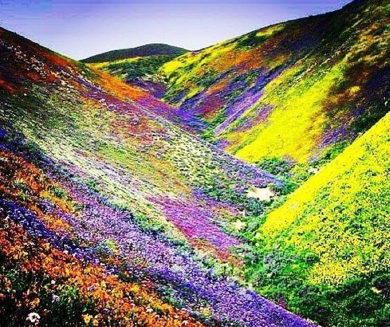 عکس زیبایی های کشور افغانستان