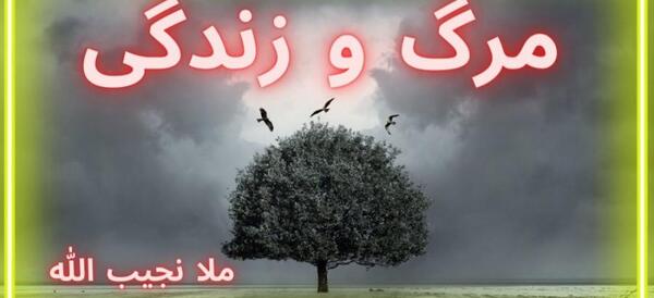عکس های دنیا غزل افغانی