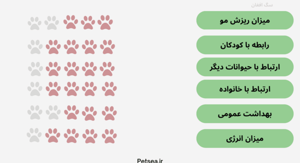 عکس سگ های افغانی افغانستان