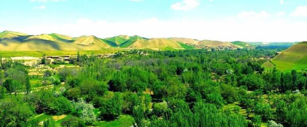 عکس جنگل های افغانستان