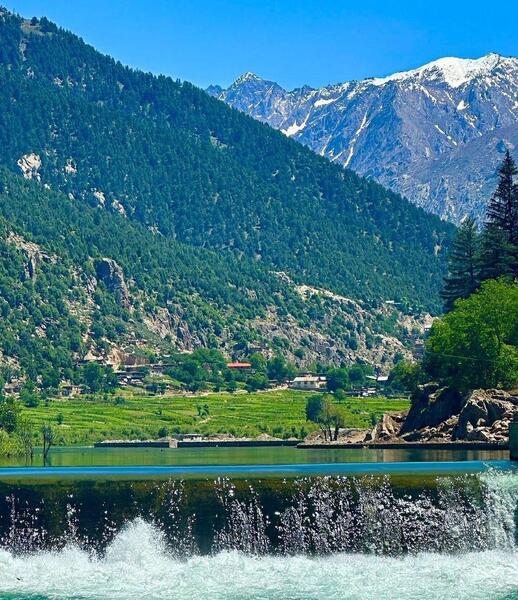 عکس جنگل های افغانستان