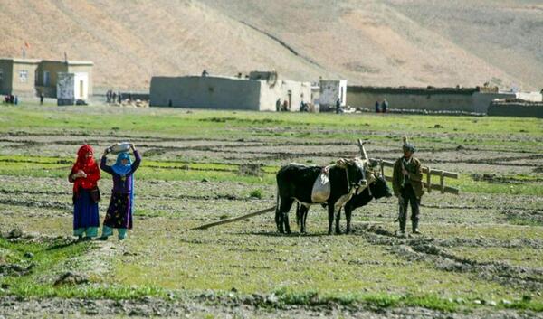 عکس های بامیان در افغانستان