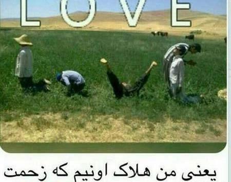 عکس های بسیار زیاد خنده دار