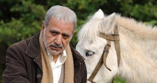 عکس دوست من چیبورا