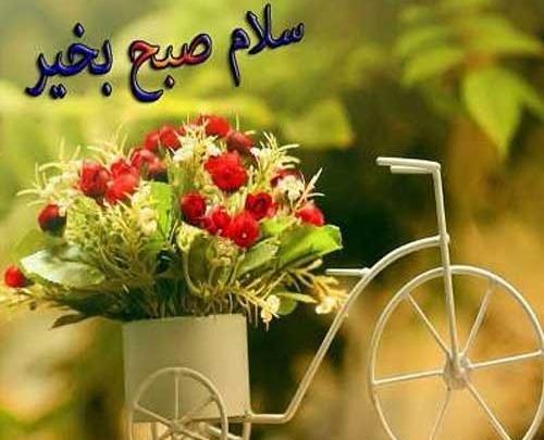عکس صبح بخیر دوست من