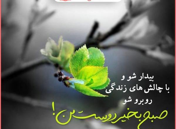 عکس صبح بخیر دوست من