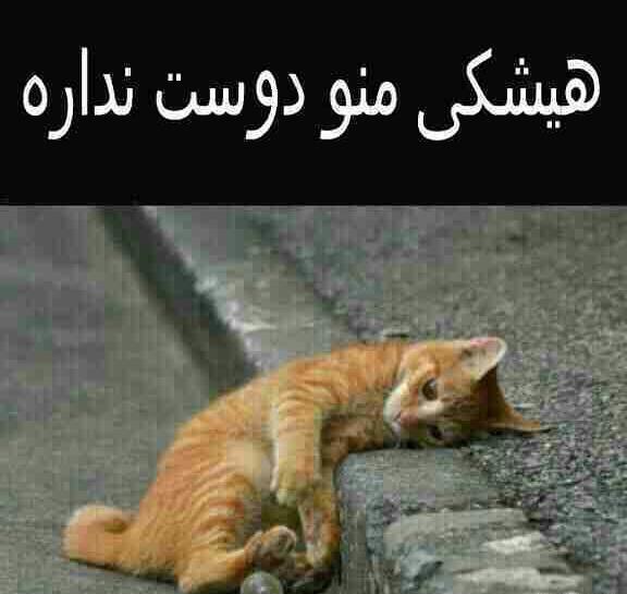 عکس کسی منو دوست نداره