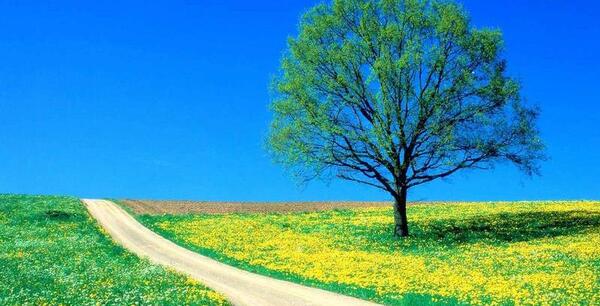 عکس های تابستانی زیبا