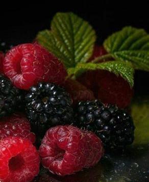 عکس های تابستانی زیبا