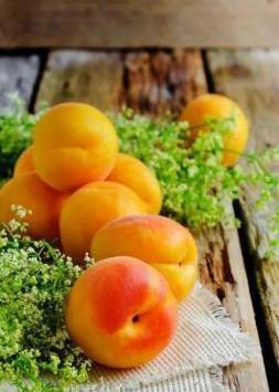 عکس های تابستانی زیبا
