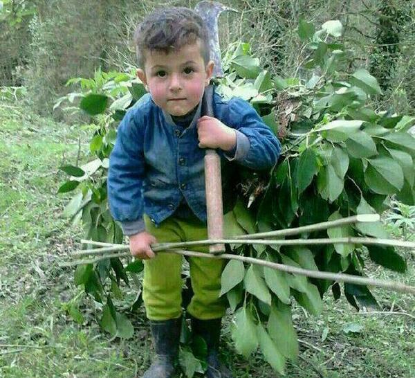 عکس های زیبا برای کودکان