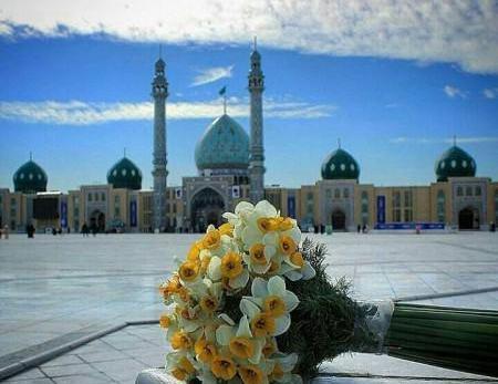 عکس های زیبای گل نرگس