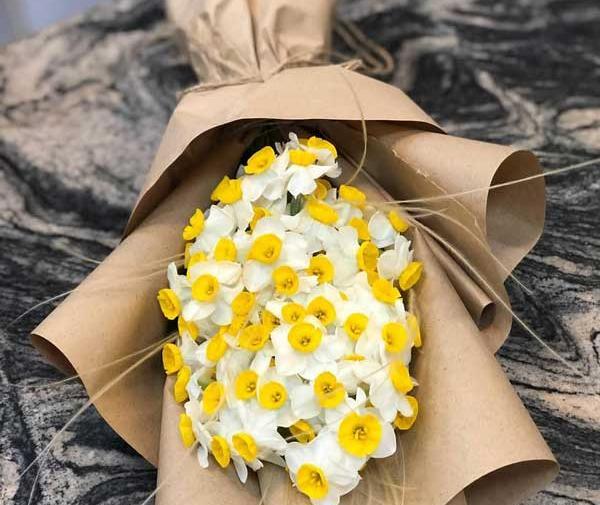 عکس های زیبای گل نرگس