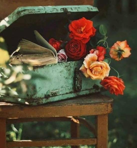 عکس های خیلی زیبا