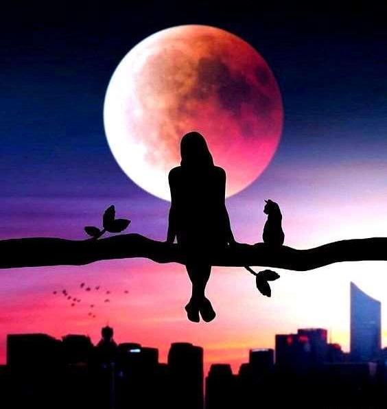 عکس های خیلی زیبا برای پروفایل