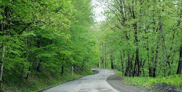 عکس جاده های زیبا و رویایی