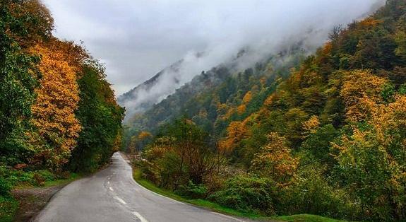 عکس جاده های زیبا و رویایی