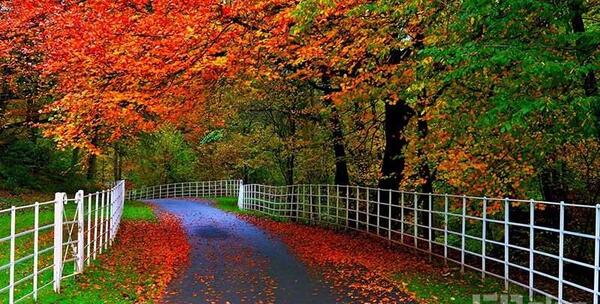 عکس جاده های زیبا و رویایی