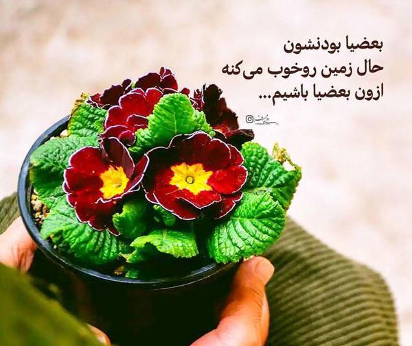 عکس های جملات زیبا