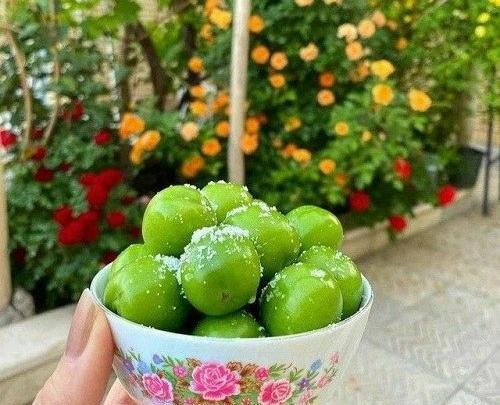 عکس میوه های تابستانی زیبا